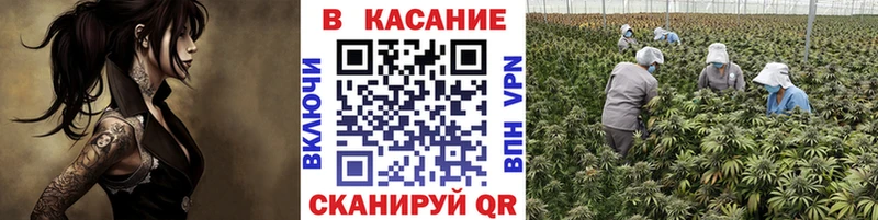 Купить наркотики сайты Вязники ГАШИШ АМФ ссылка на мегу ТОР Мефедрон