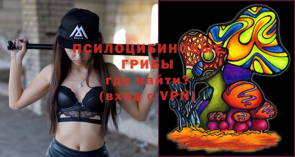 стафф Баксан